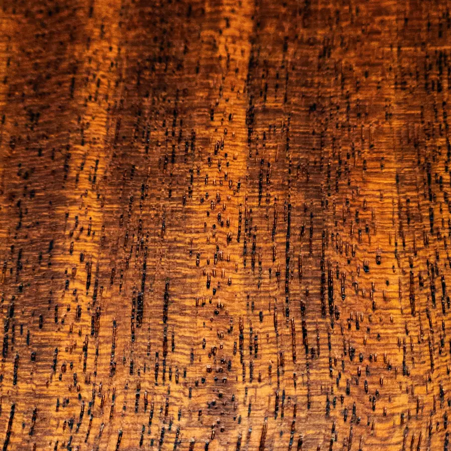 Goyavier de bout : un grain dense, presque noir