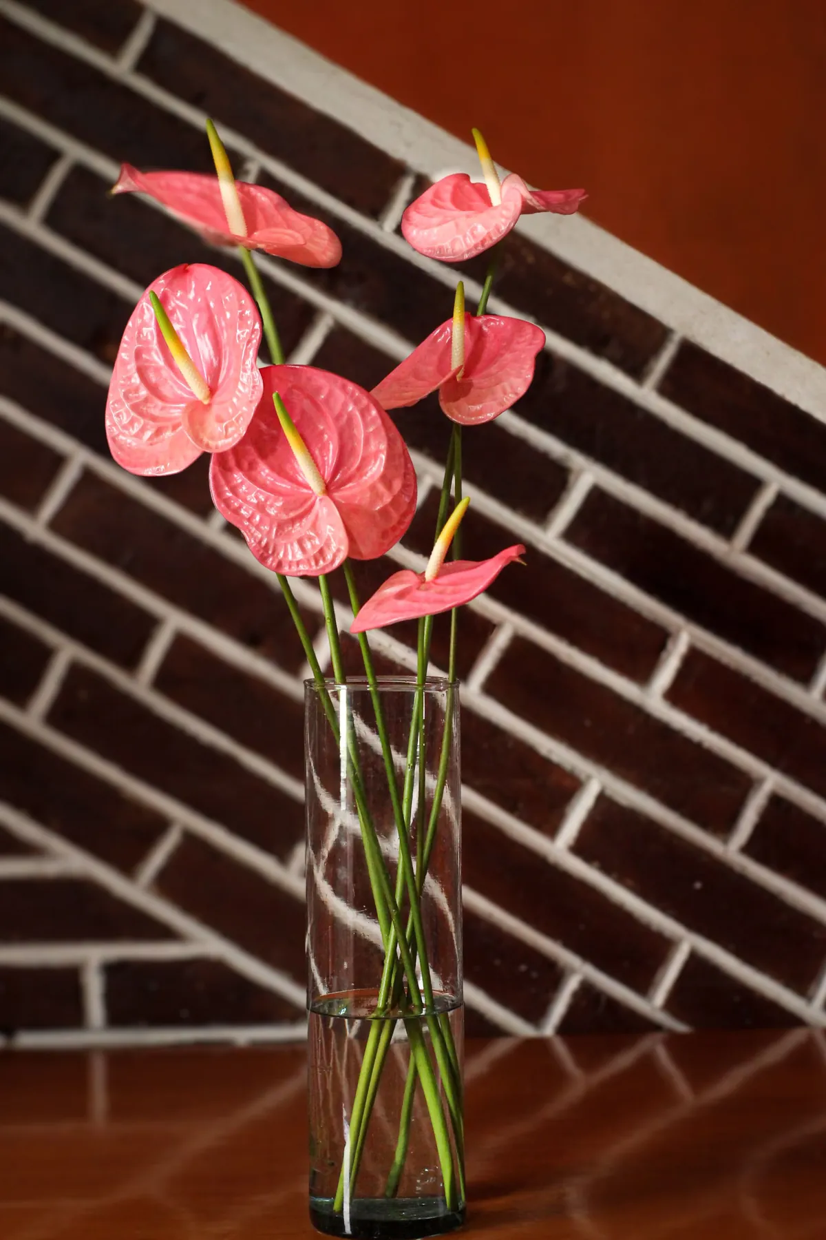 Les anthuriums coupés à Salazie, posés sur les tables